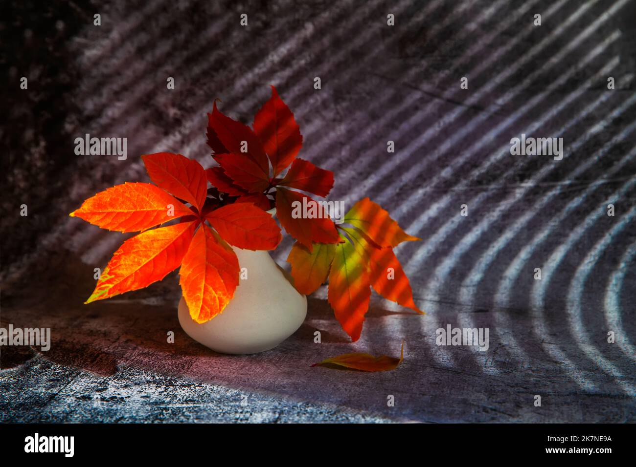 Bouquet di foglie rosse autunnali di uva selvatica in vaso di argilla su fondo testurizzato scuro. Autunno ancora vita. Foto Stock