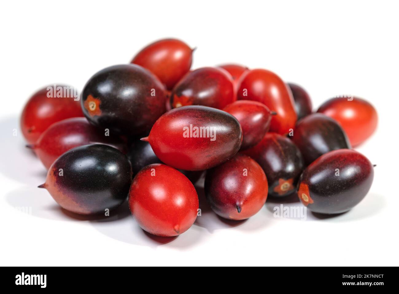 Pomodori prugna neri su sfondo bianco Foto Stock