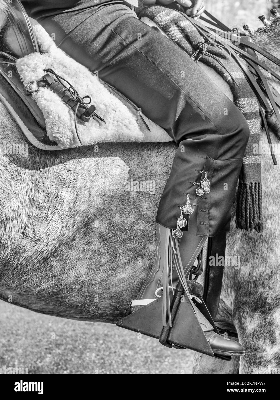 Cavaliere con il piede nella staffa durante la fiera di Fuengirola. Foto Stock