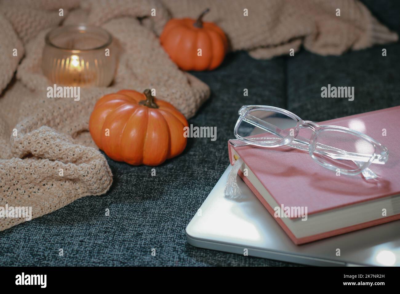 Zucche piccole, intime coperte a maglia, notebook e bicchieri sul divano Foto Stock