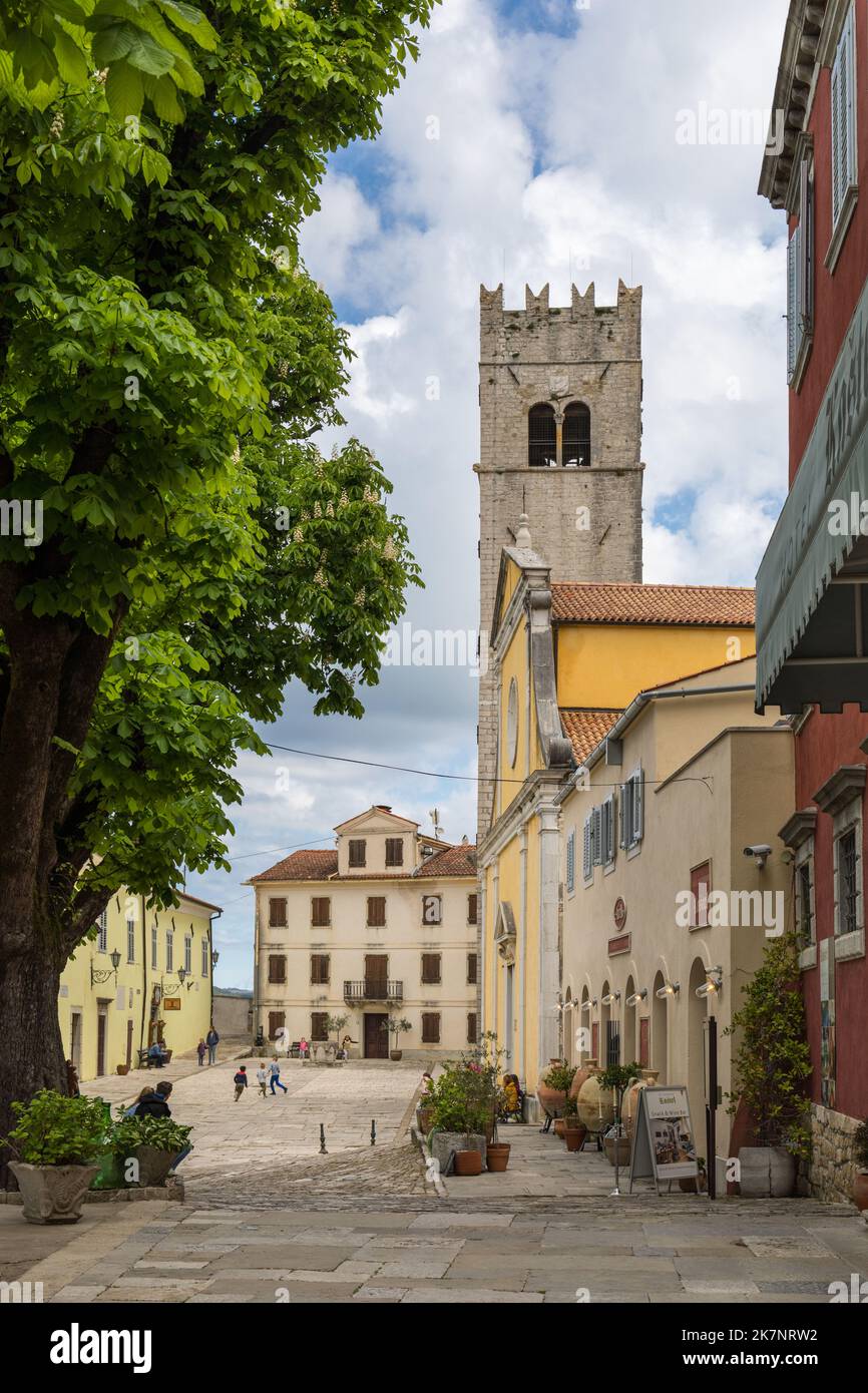 Motovun, Istria, Croazia Foto Stock