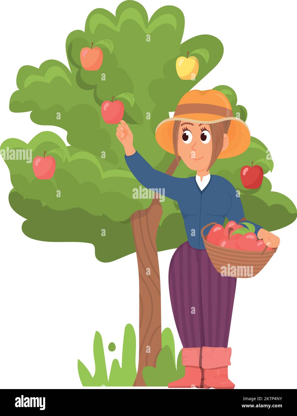 Donna che raccoglie mele da albero. Lavoratore di giardiniere di cartone animato Illustrazione Vettoriale