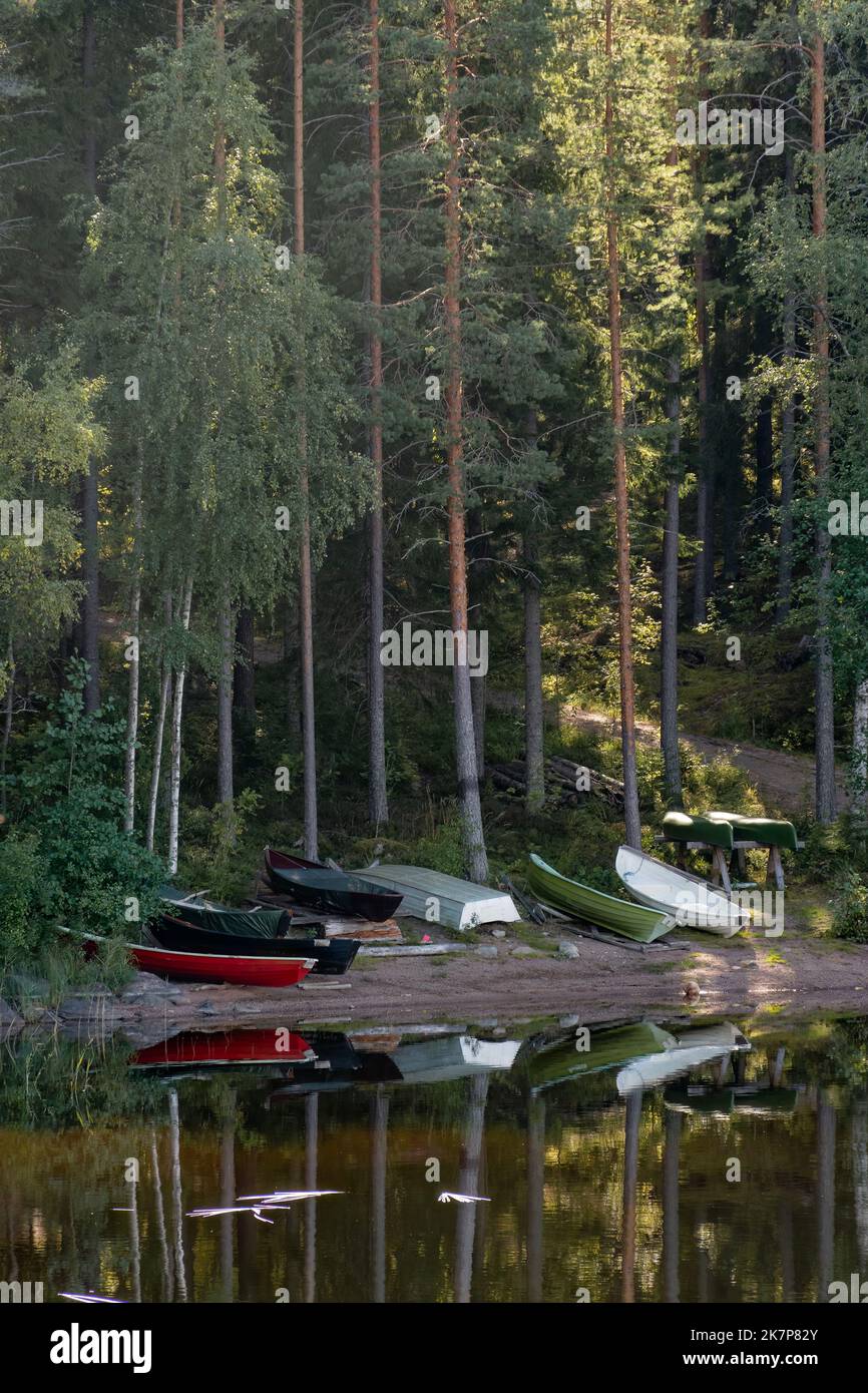 Un gruppo di piccole barche su una spiaggia in Finlandia con tronchi di pini che si riflettono dal lago. Parco Nazionale di Repovesi, Kouvola. Foto Stock