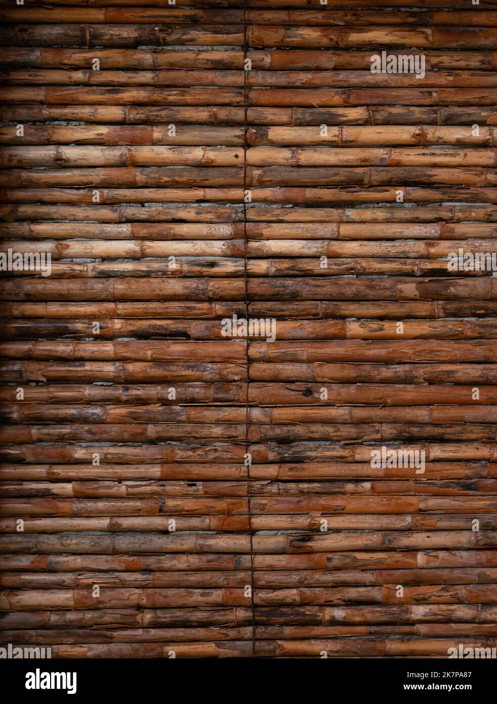 Strisce di legno di diverse tonalità posizionate verticalmente Foto Stock