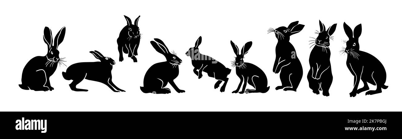 silhouette nere di conigli. Illustrazione vettoriale Illustrazione Vettoriale