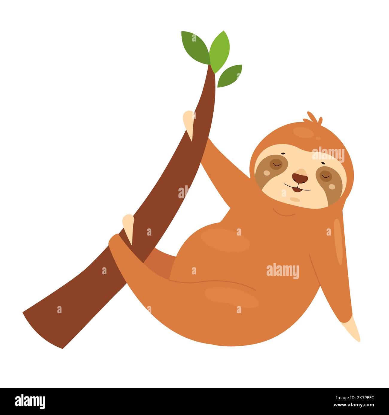 Appendere l'animale di sloth sull'albero. Orso pigro sul ramo, rilassato illustrazione vettore di mammifero arboreo Illustrazione Vettoriale