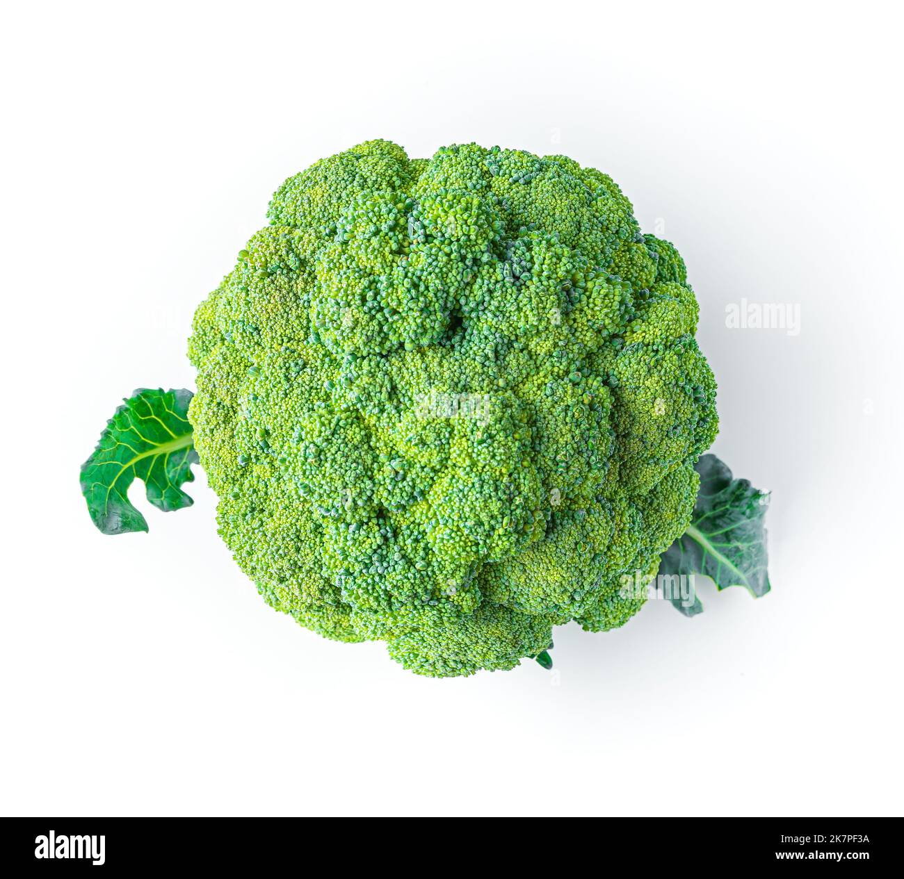 I broccoli maturi vengono isolati su sfondo bianco. Foto Stock