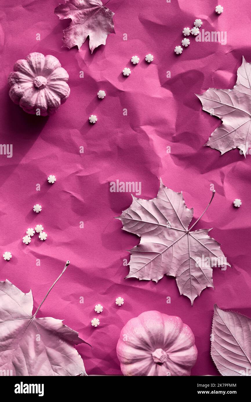 Autunno sfondo magenta con foglie di acero dipinto, zucche e file di zucchero spruzzate. Vivace sfondo monocromatico, storie per i social media. Foto Stock