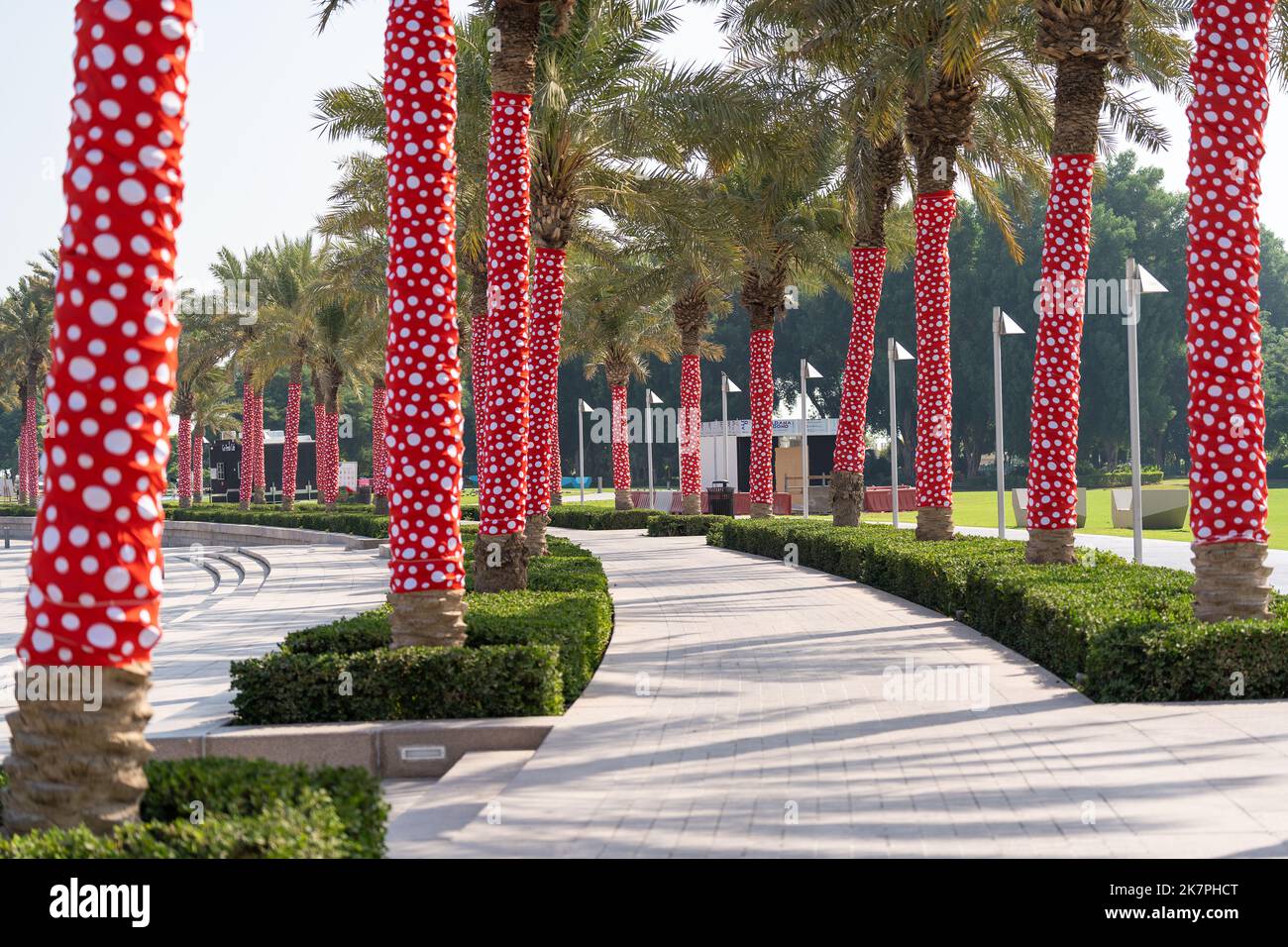 Alberi di palma e passerella nel Parco del Museo d'Arte Islamica, Doha, Qatar. Foto Stock