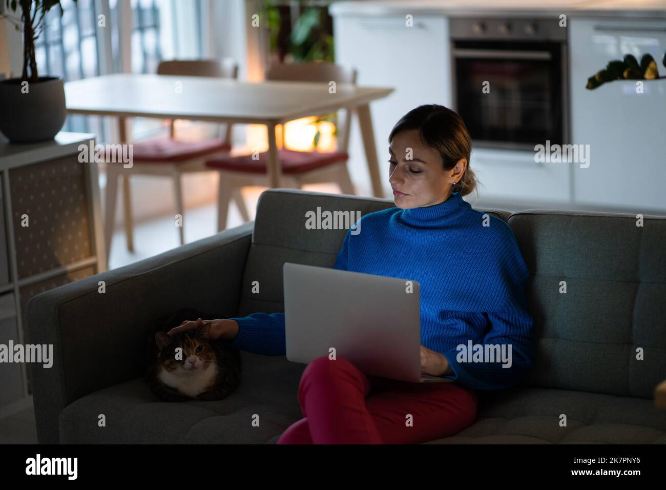 Gentile donna caucasica accarezzare gatto distratto dal lavoro freelance con laptop in grembo si siede sul divano Foto Stock
