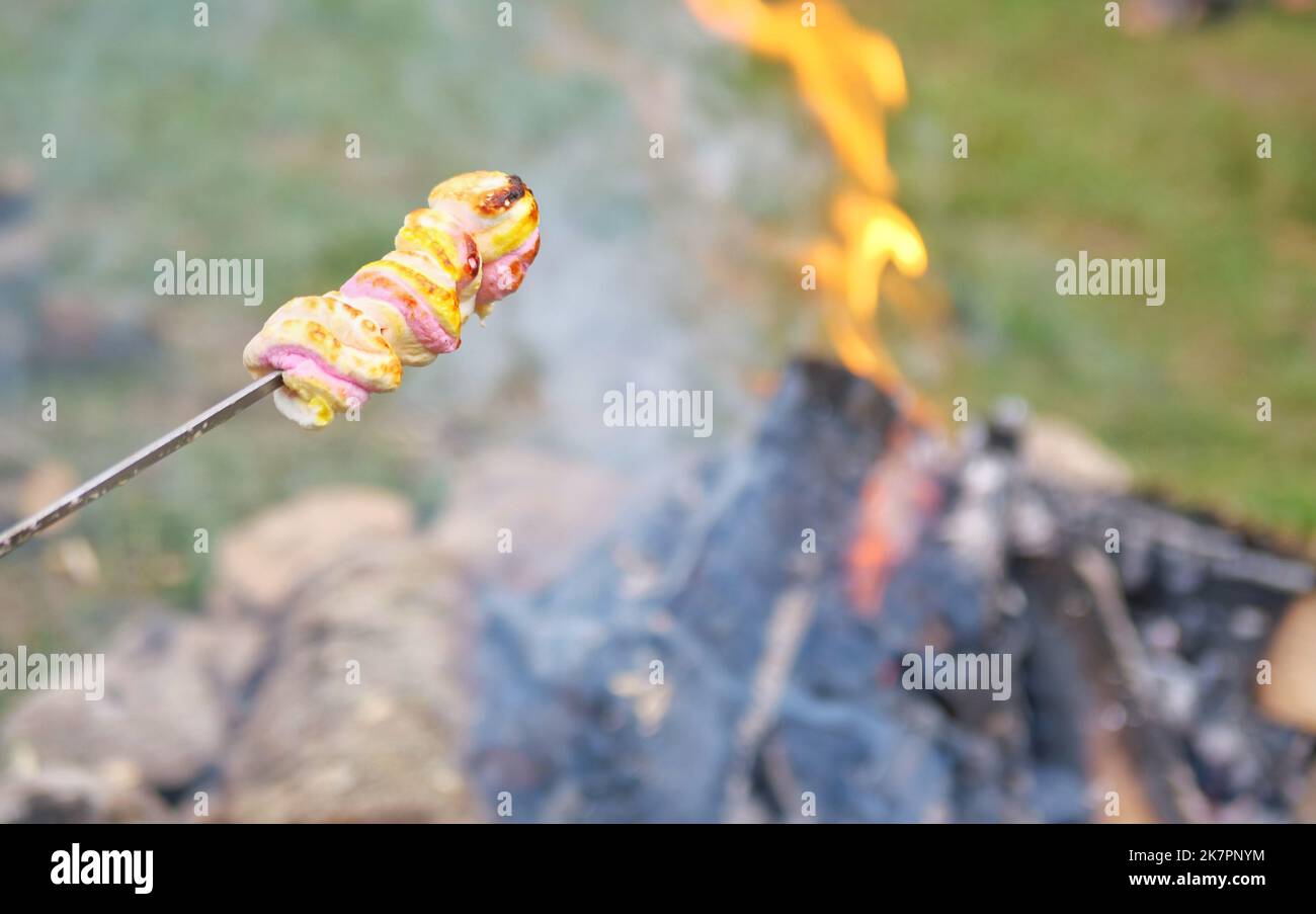 Primo piano del cibo che viene grigliato su un falò vicino a una tenda in un campeggio. Fuoco sul fuoco. Marshmallow sul fuoco Foto Stock