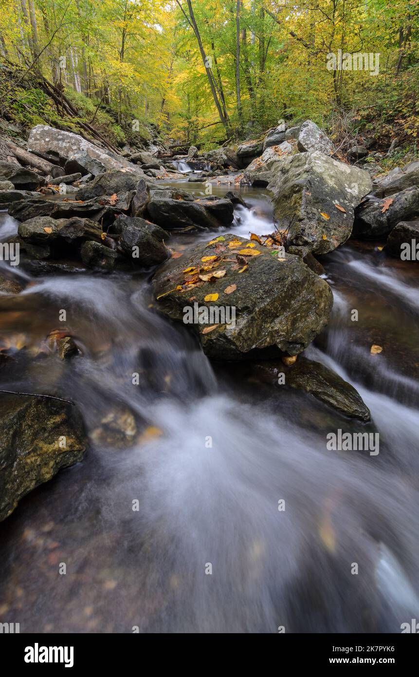Acque impetuose del Big Hunting Creek nel Catoctins Mountain Park con i colori autunnali degli alberi dietro Foto Stock