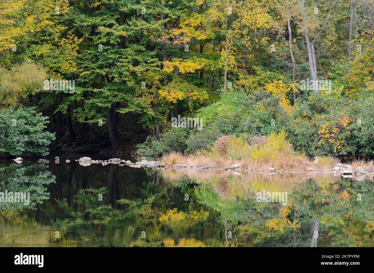 Alberi autunnali che si riflettono nel Frank Bentz Memorial Lake fuori Thurmont, Maryland, USA durante l'autunno. Foto Stock