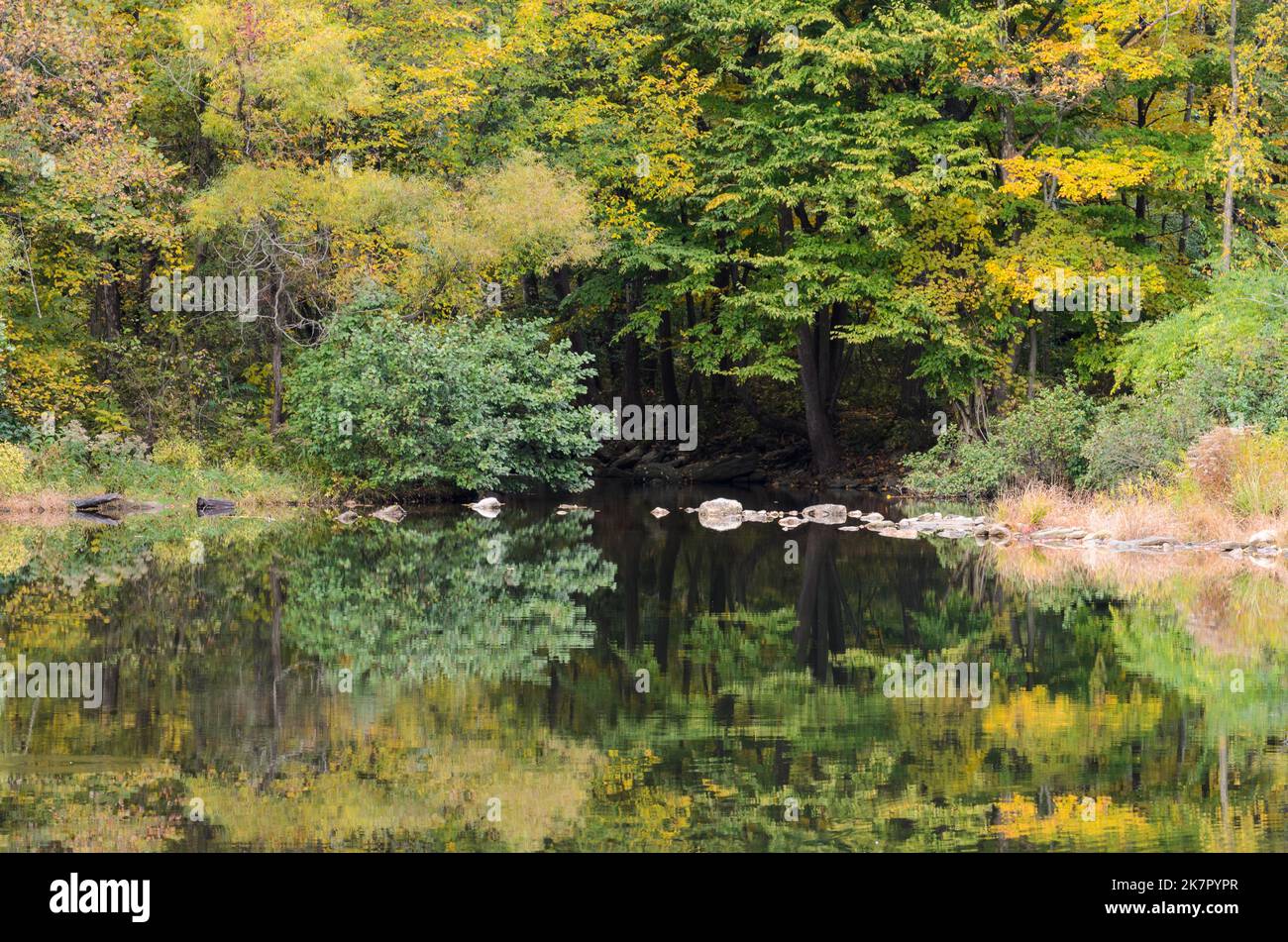 Alberi autunnali che si riflettono nel Frank Bentz Memorial Lake fuori Thurmont, Maryland, USA durante l'autunno. Foto Stock