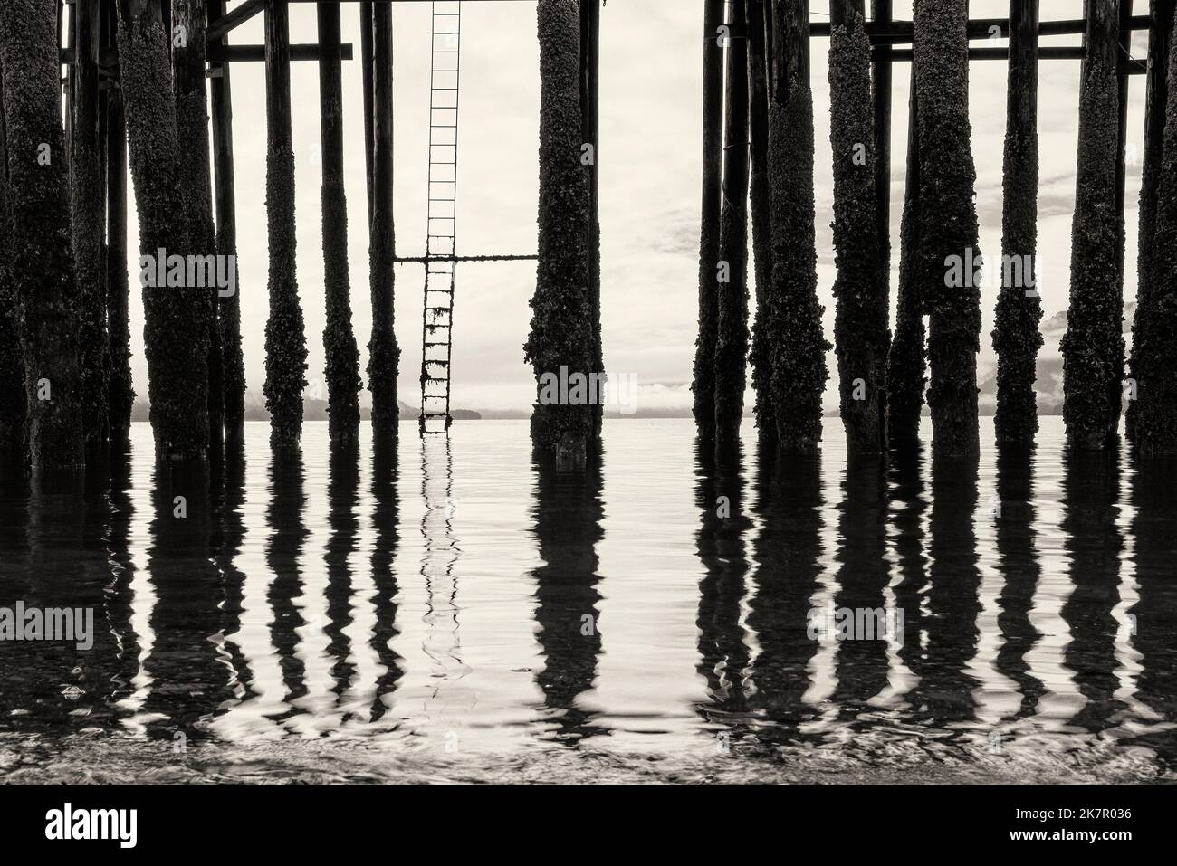 Immagine astratta dei pali di molo - Icy Strait Point, Hoonah, Alaska, USA [B&W] Foto Stock