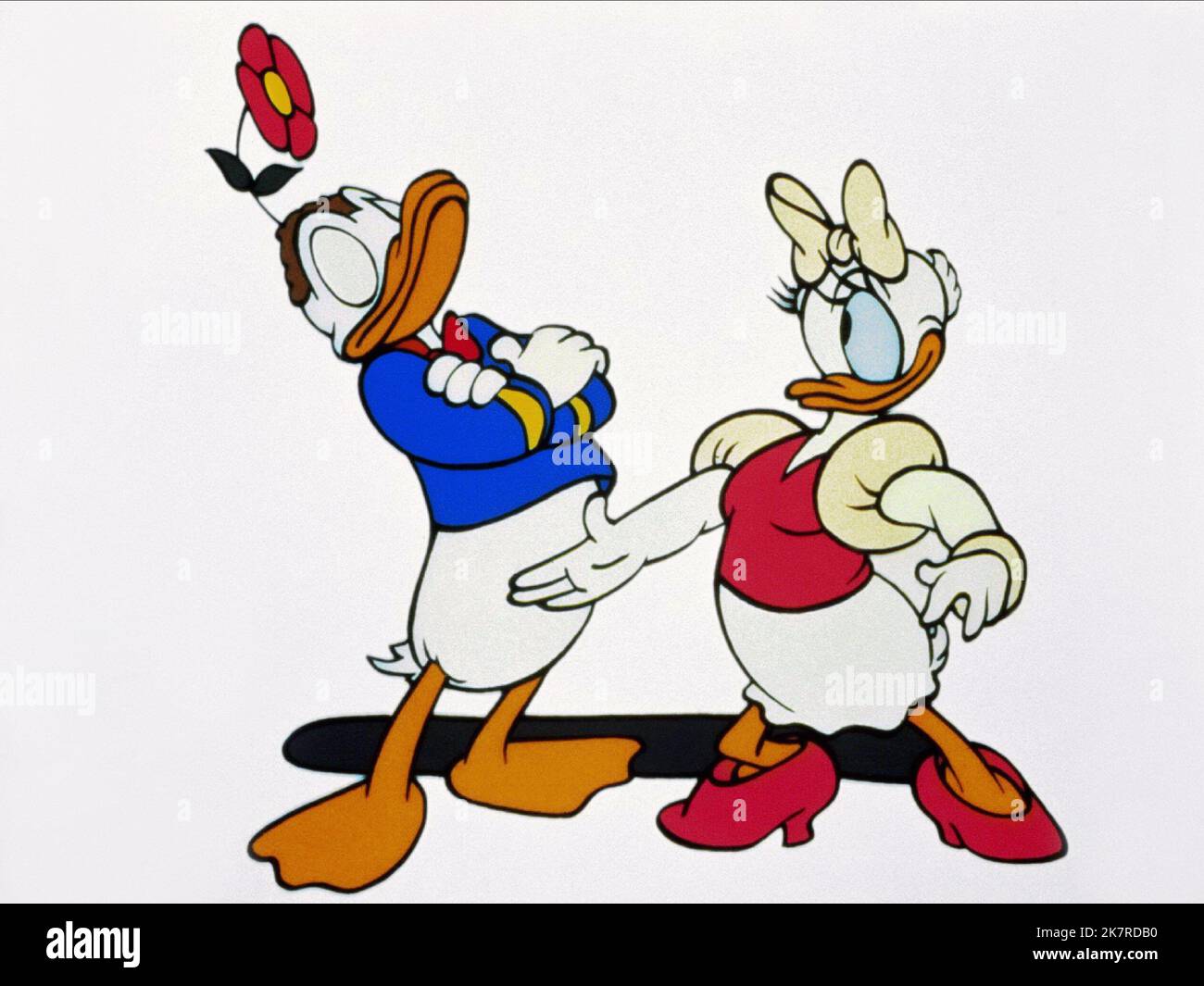 Donald Duck & Daisy Duck Film: Donald ama Daisy; Donald Liebt Daisy (1978) 01 gennaio 1975 **AVVERTENZA** questa fotografia è solo per uso editoriale ed è copyright della Film Company e/o del fotografo assegnato dalla Film o dalla Production Company e può essere riprodotta solo da pubblicazioni in concomitanza con la promozione del film di cui sopra. È richiesto un credito obbligatorio alla società cinematografica. Il fotografo deve essere accreditato anche quando è noto. Nessun uso commerciale può essere concesso senza autorizzazione scritta da parte della Film Company. Foto Stock