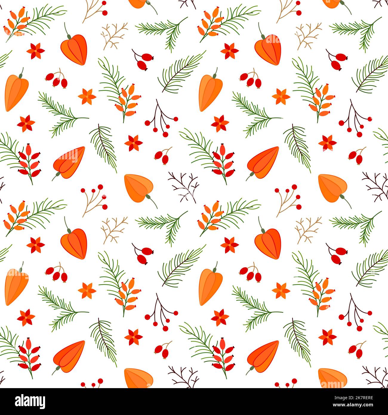 Stagioni botaniche natale modello caldo ombra bacche ramo piatto. Yew bacche physalis pino rosehip poinsettia fiore rosso senza cuciture tradizionale arancio pianta disegno stampa tessile interno regalo confezione Illustrazione Vettoriale