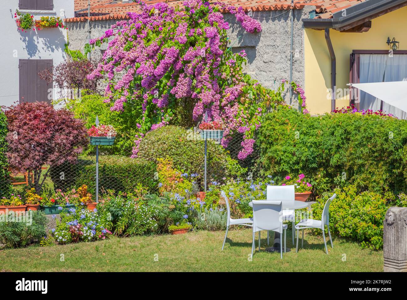 Giardino con fiori nel cortile posteriore in primavera soleggiata, Lago di Garda, Italia Foto Stock