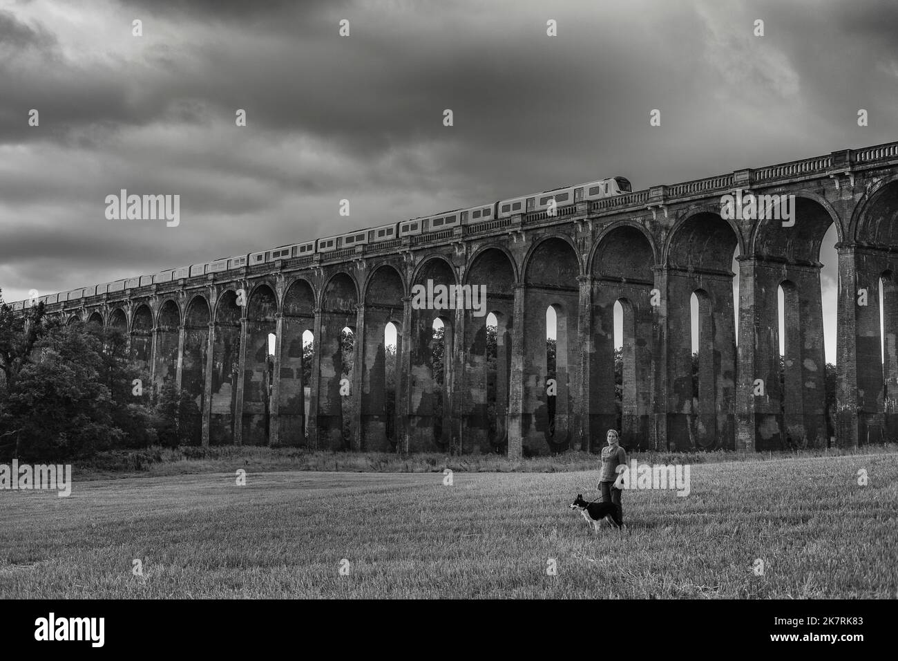 Il viadotto ferroviario di Ouse Valley (Nr Balcombe ) porta la linea ferroviaria Londra-Brighton sul fiume Ouse nel Sussex. 11 milioni di mattoni dai Paesi Bassi - OL15169856 Foto Stock