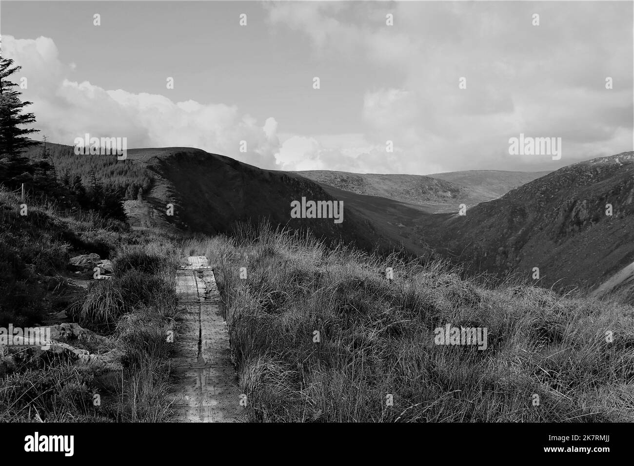 Sentiero di montagna Glendalough Irlanda Foto Stock