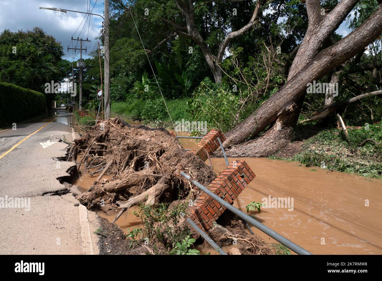 Alberi caduti sradicati e strade asfaltata pavimentazione distrutta dopo inondazioni d'acqua. Foto Stock