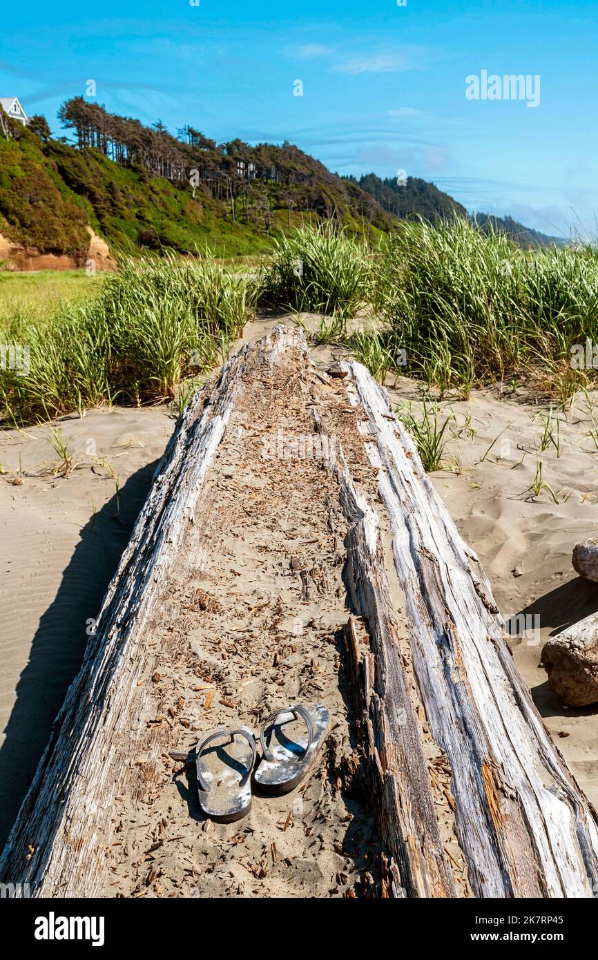 Un paio di sandali per bambini riposano nella sabbia su un driftwood log a Pacific Beach, Washington, con alberi di mare e sempreverdi in lontananza. Foto Stock