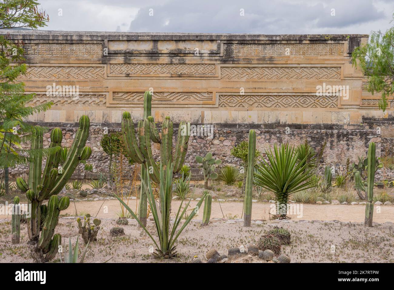 Cactus di fronte alle pareti decorate con fartwork del Gruppo colonne presso il sito archeologico di Mitla Mesoamerican (patrimonio dell'umanità dell'UNESCO) a Mitl Foto Stock