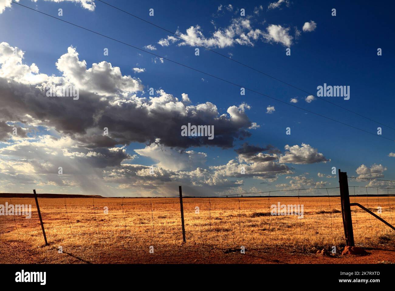 Terreno agricolo australiano con recinzione e linee elettriche aeree, Mukinbudin, Australia Occidentale Foto Stock