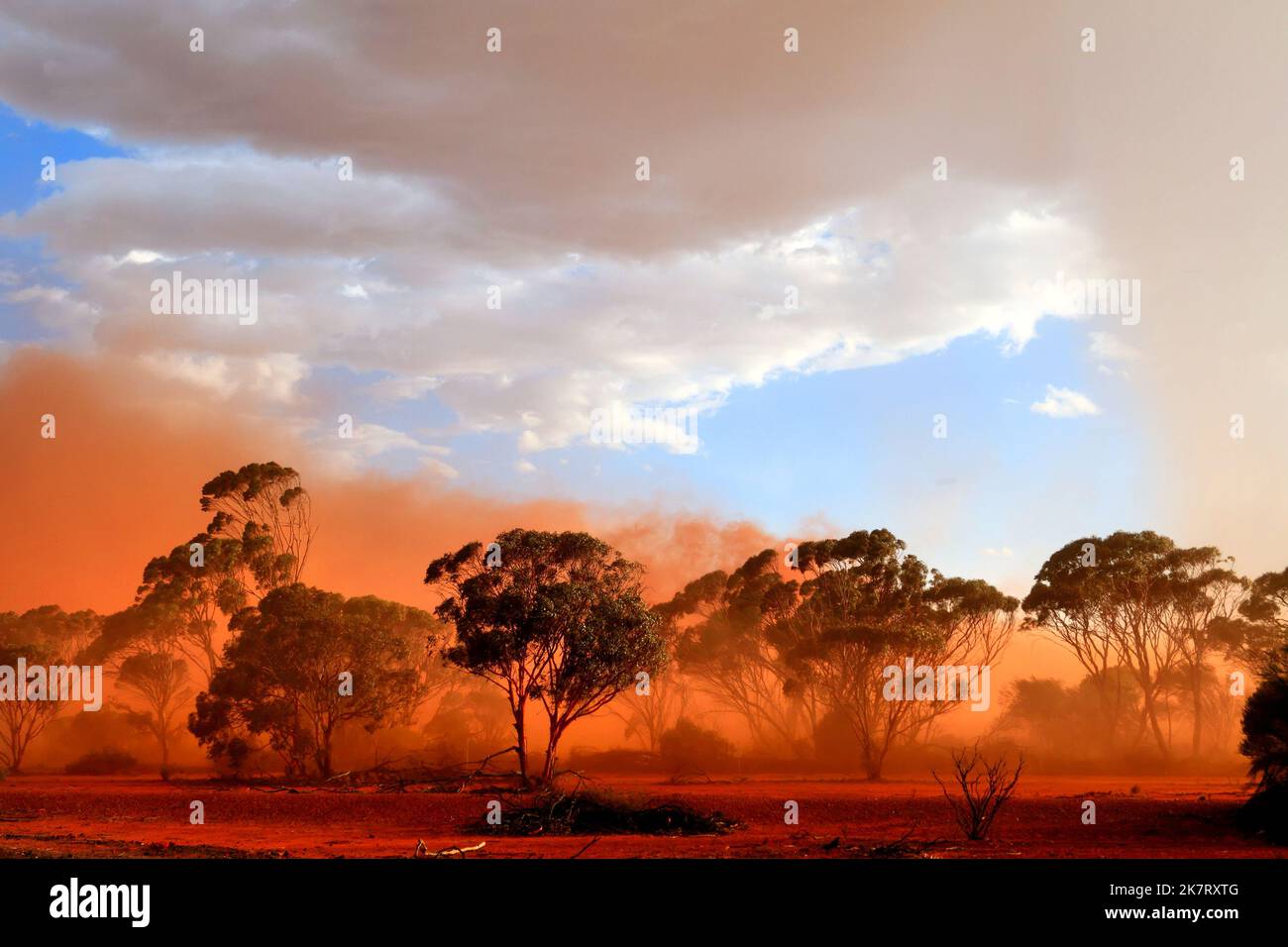 Tempesta di polvere rossa nell'Outback australiano, Mukinbudin, Australia occidentale Foto Stock