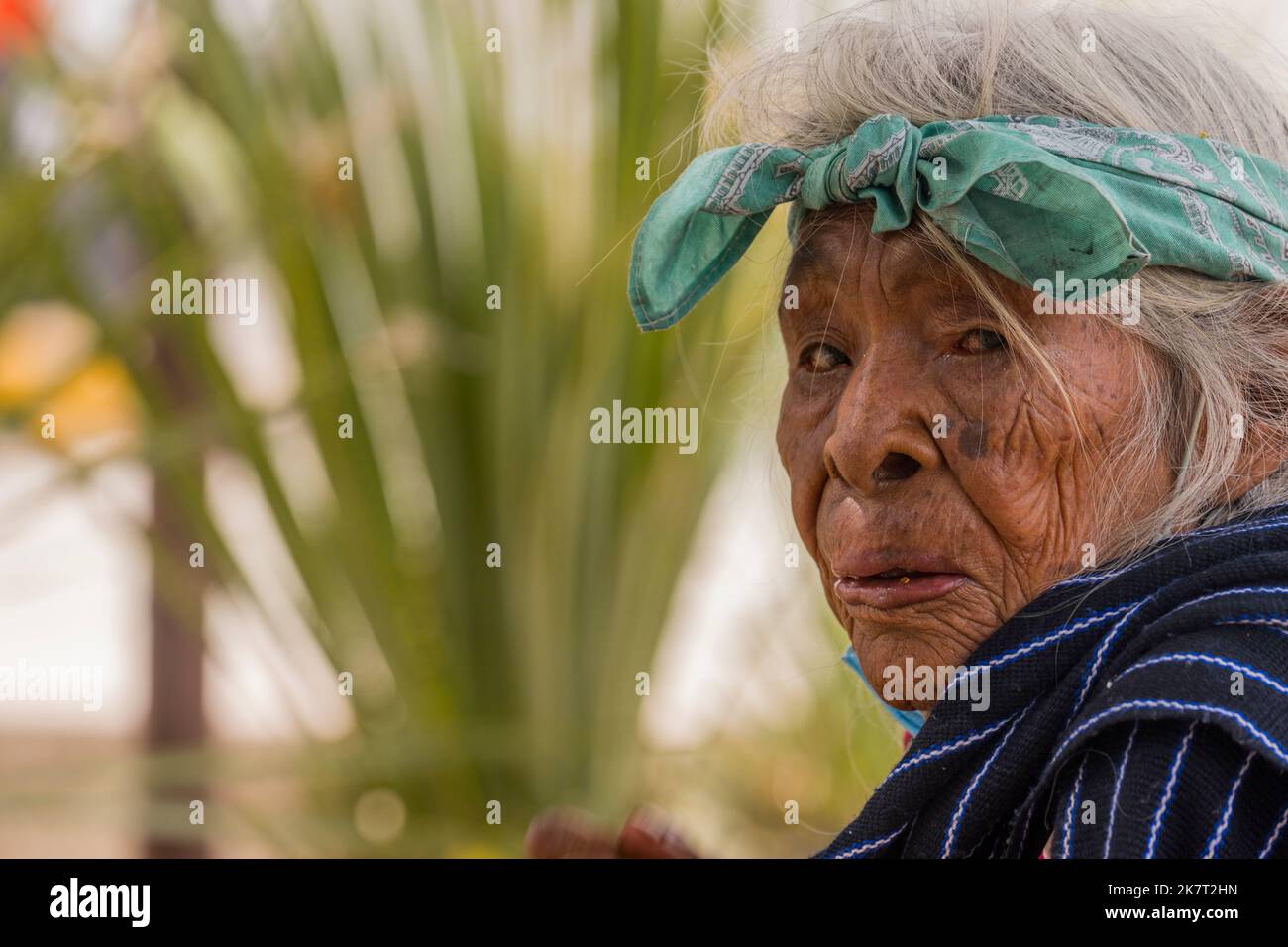 Ritratto di una donna anziana locale nella piccola città di San Agustin Etla vicino a Oaxaca, Messico. Foto Stock