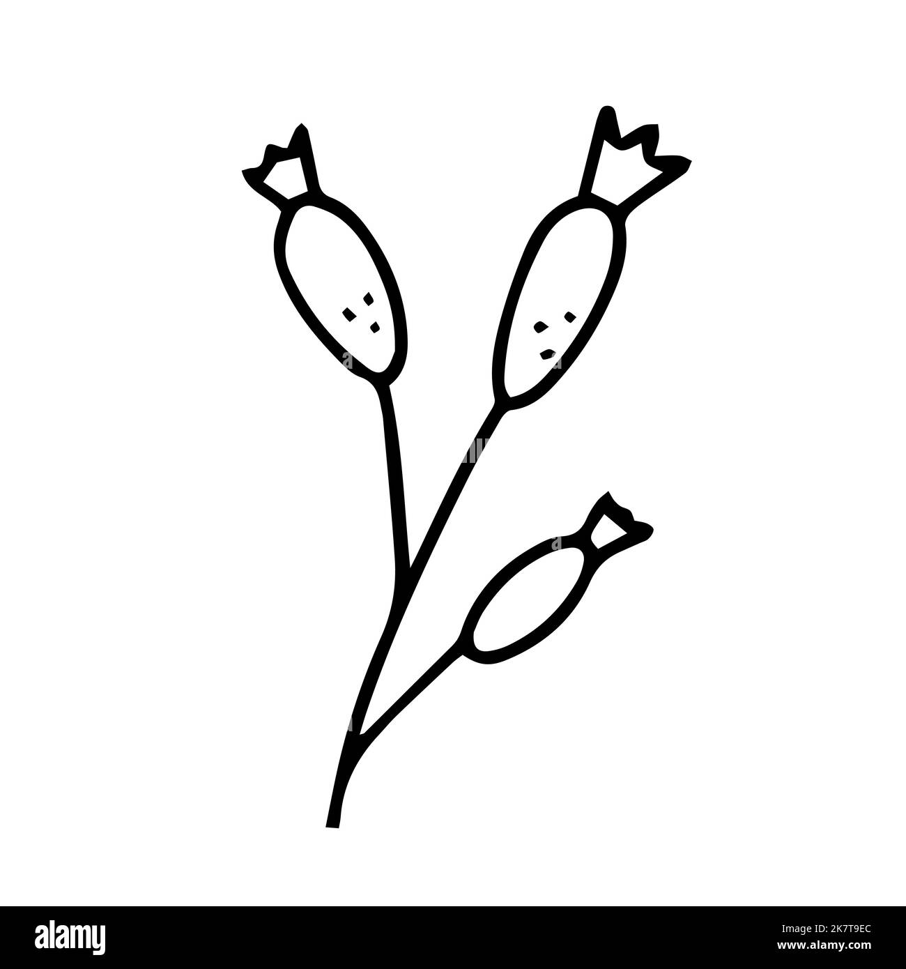 Bacca di rosa canina bianca e nera. Illustrazione vettoriale in stile disegnato a mano Illustrazione Vettoriale