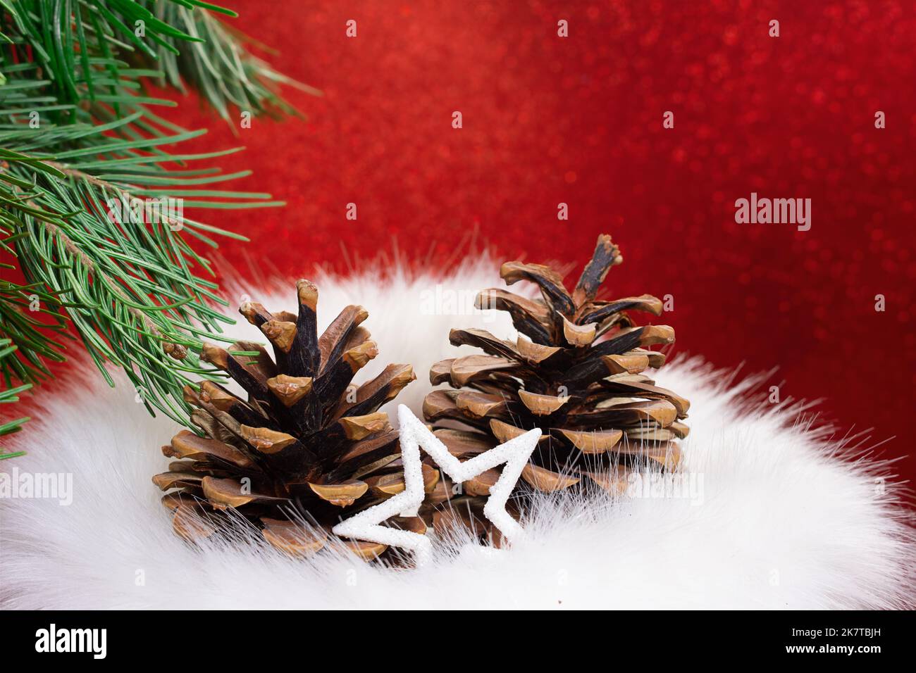 Due coni marroni in pelliccia con abete dietro fondo rosso lucido. Natale, Capodanno. Spazio di copia Foto Stock