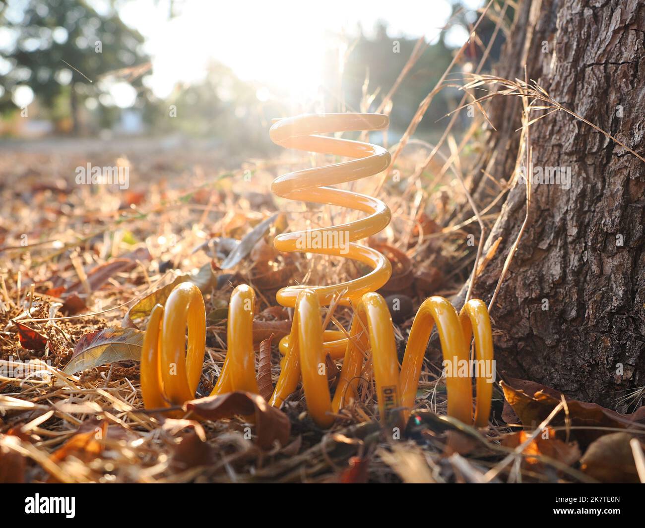 La spirale gialla molle Ohlins nei raggi del sole. Foto Stock