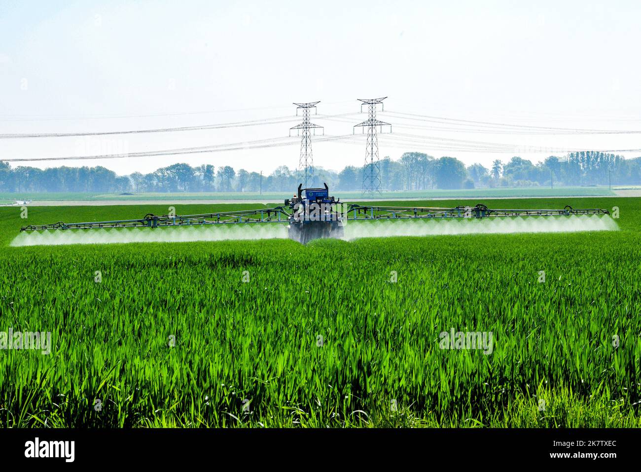 Pesticidi spruzzati su un campo di cereali nel dipartimento della Senna Marittima (Francia settentrionale). Foto Stock