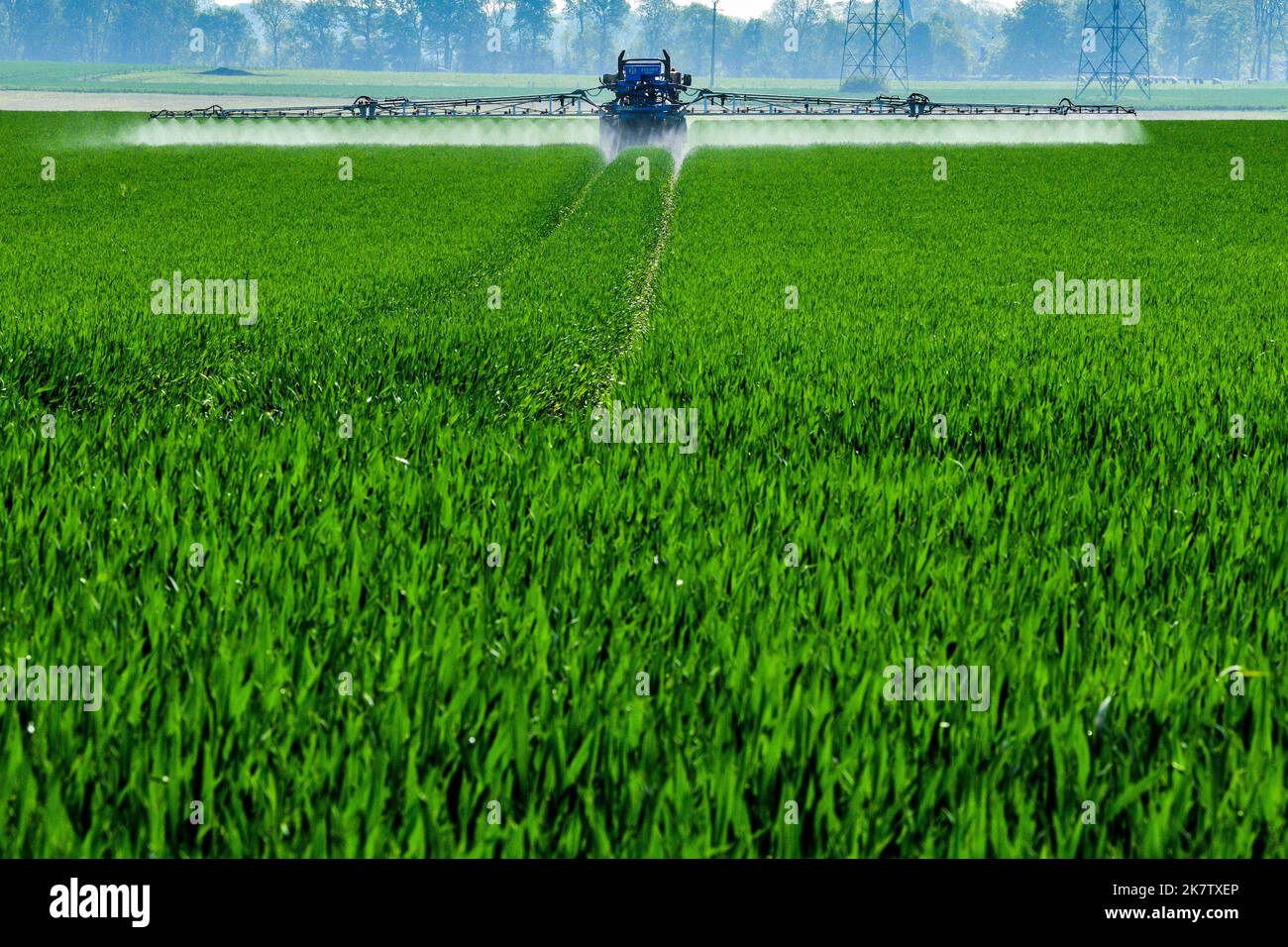 Pesticidi spruzzati su un campo di cereali nel dipartimento della Senna Marittima (Francia settentrionale). Foto Stock