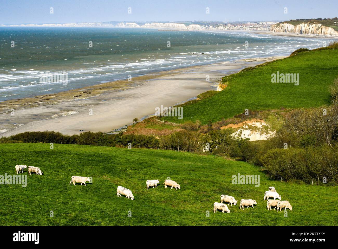 Varengeville sur Mer (Francia settentrionale): Panoramica del paesaggio e della costa dal sentiero GR® 21, percorso lungo le scogliere della Costa del No Foto Stock