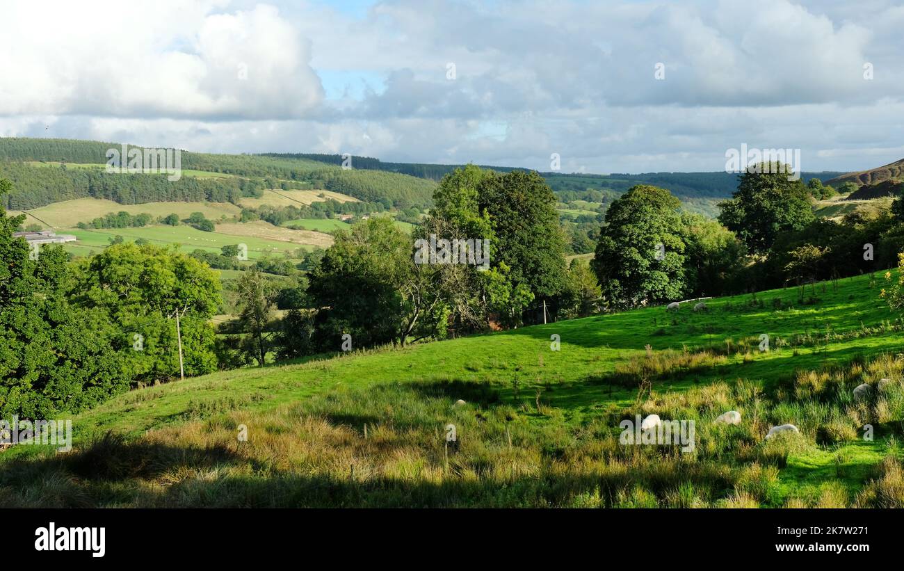 Terreno agricolo vicino a Rosedale Valley sul North York Moors, Regno Unito - John Gollop Foto Stock