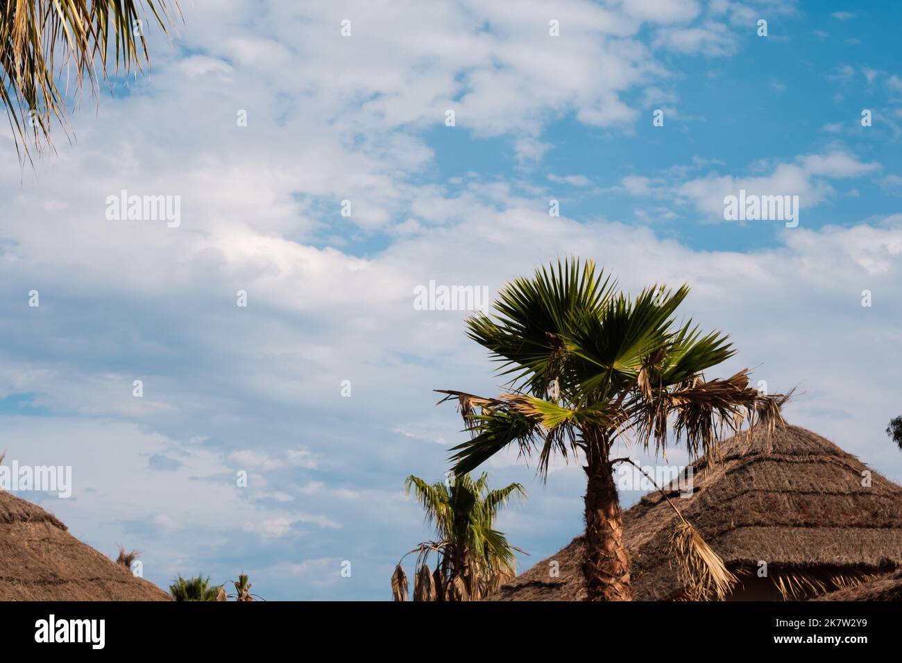 Cielo tropicale blu estate scena con foglie di palma e capanna tetto in un paesaggio di vacanze estive Foto Stock