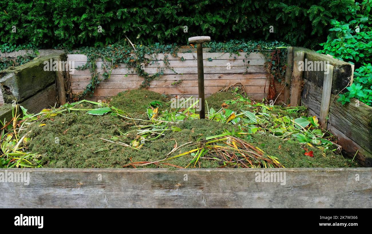 Grandi bidoni di compost in legno in un giardino inglese - John Gollop Foto Stock