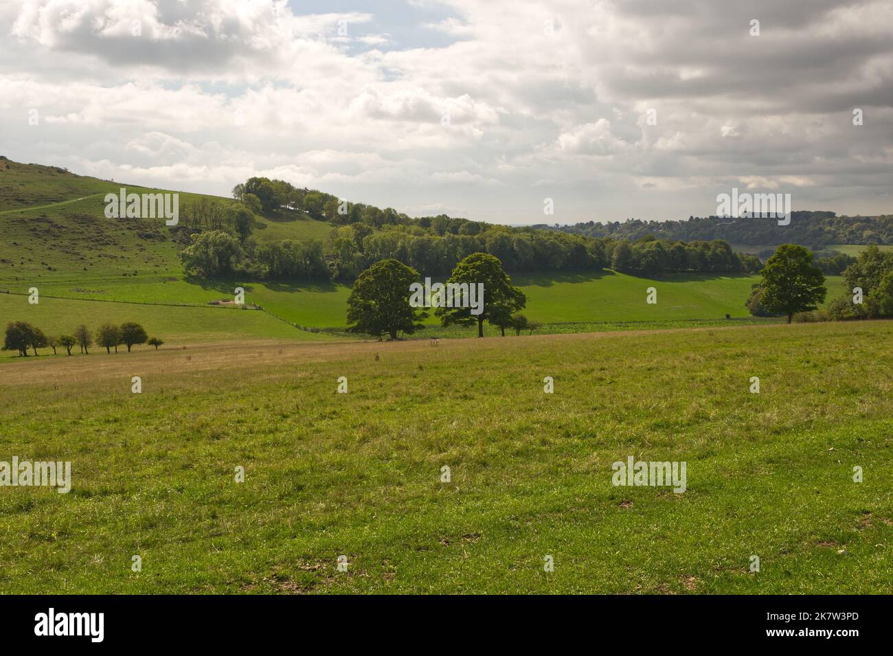 Campagna di Cissbury Ring antico forte collina vicino Findon, Worthing, Sussex occidentale, Inghilterra. Foto Stock