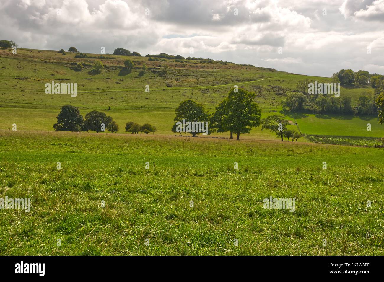 Cissbury Ring antico forte collina sulle colline del Sud a Worthing nel Sussex occidentale, Inghilterra Foto Stock