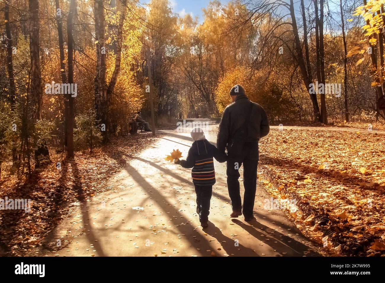 Padre e figlio camminano nella foresta autunnale. Buona infanzia. Valori familiari. Salute mentale. Comunicazione con la natura. Foto Stock