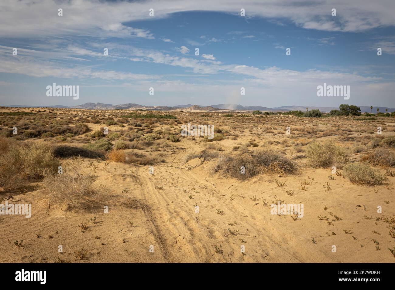 Il deserto nella California meridionale vicino alla città di 29 palme, vicino al parco nazionale Joshua Tree, USA Foto Stock