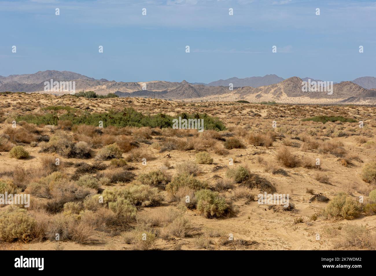 Il deserto nella California meridionale vicino alla città di 29 palme, vicino al parco nazionale Joshua Tree, USA Foto Stock