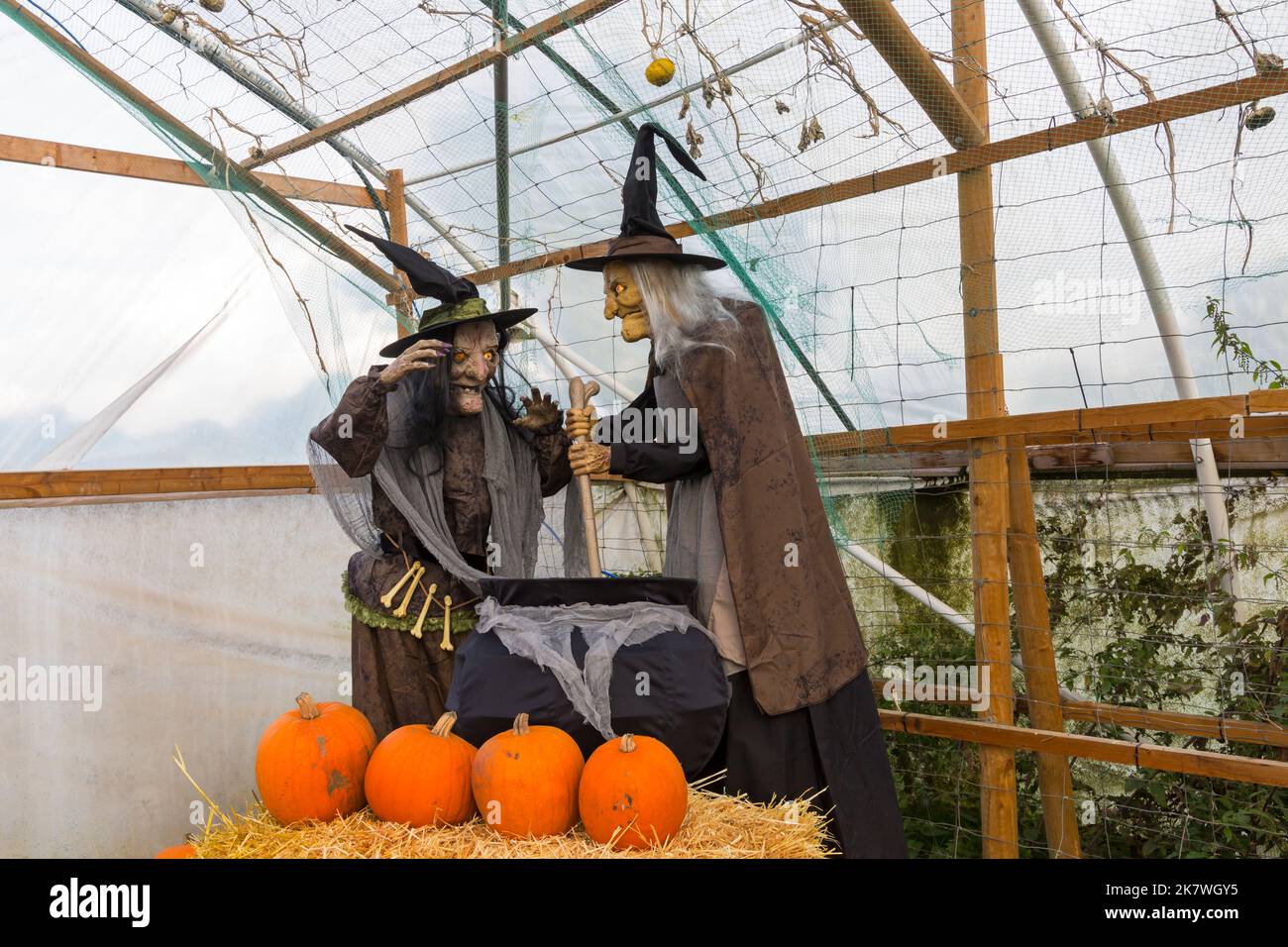 Streghe che mescolano calderone a Pumpkin tempo alla Sunnyfields Farm a Totton, Hampshire Regno Unito in ottobre come Halloween si avvicina Foto Stock