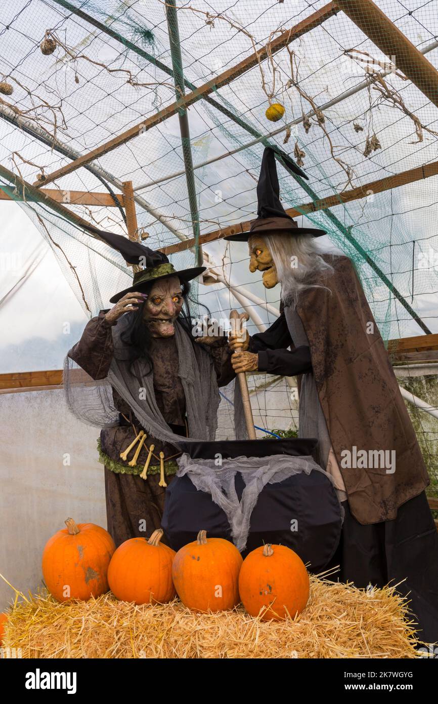 Streghe che mescolano calderone a Pumpkin tempo alla Sunnyfields Farm a Totton, Hampshire Regno Unito in ottobre come Halloween si avvicina Foto Stock