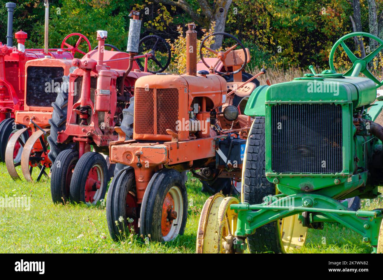 I trattori sono allineati come parte dell'esposizione al Grand View LandTrust Park di Ellison Bay, Door County, Wisconsin Foto Stock