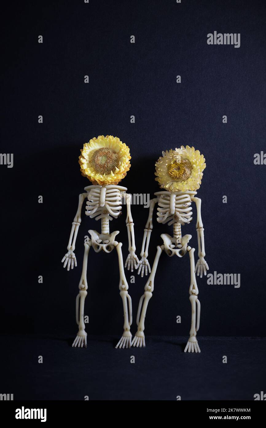 Una coppia di scheletri con teste di fiori. Foto Stock