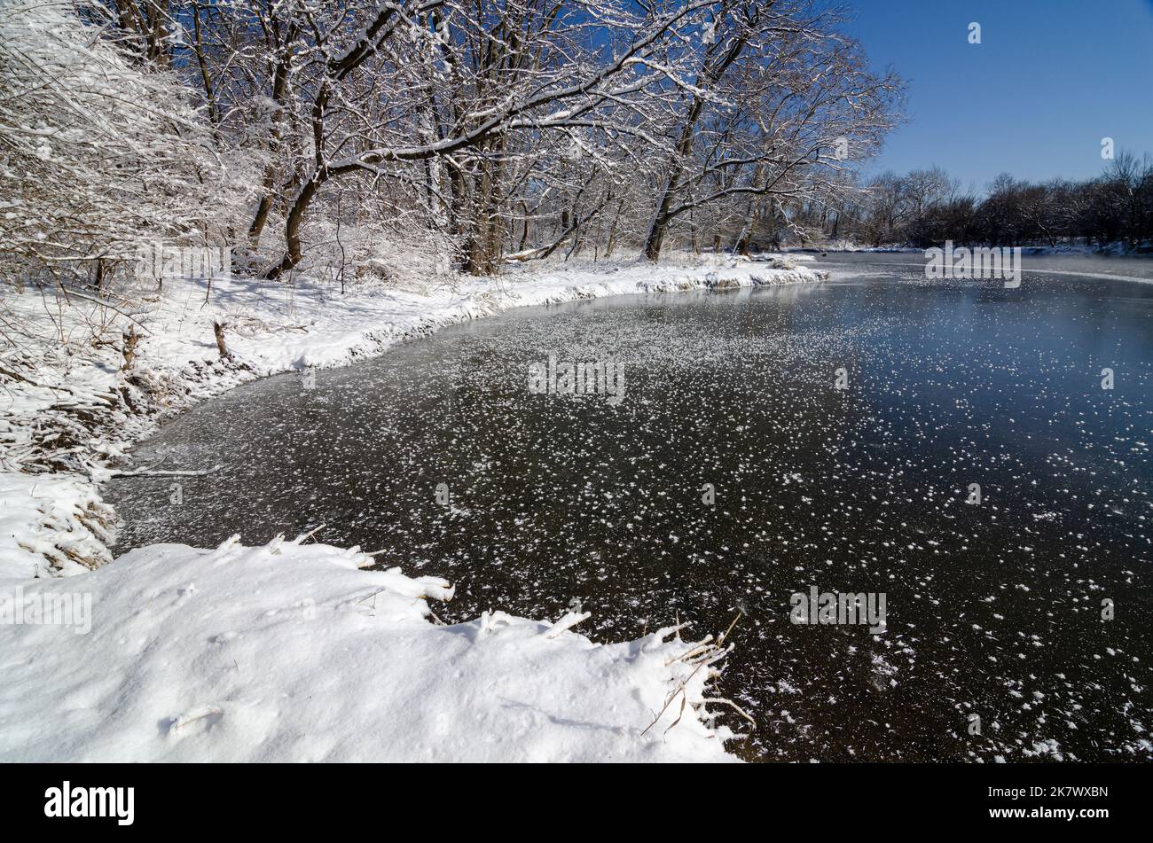 Cristalli di ghiaccio si formano su ghiaccio nuovo dopo uno scatto freddo e una tempesta di neve sulla corrente lenta del fiume DuPage nella riserva della foresta di Hammel Woods, Will County, Illinois Foto Stock