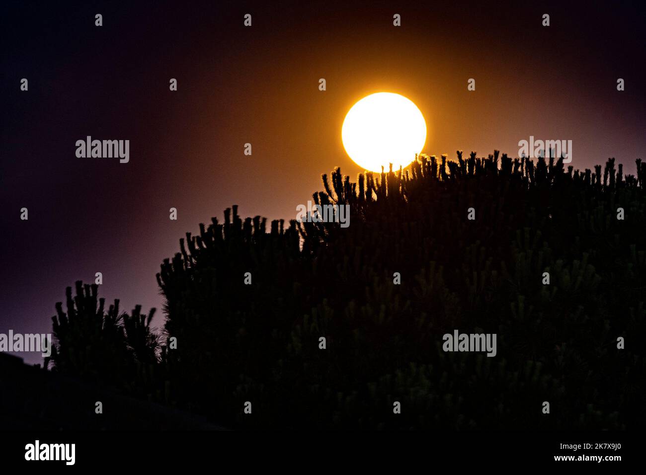 Vista del sorgere della luna al perigeo Foto Stock